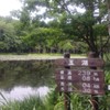 知床五湖・第五湖(20130811)