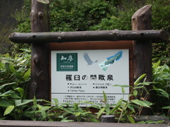 羅臼の間欠泉