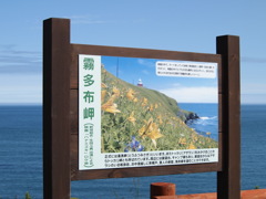 霧多布岬