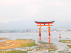 潮がひいてきました