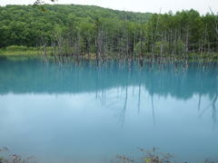 青い池