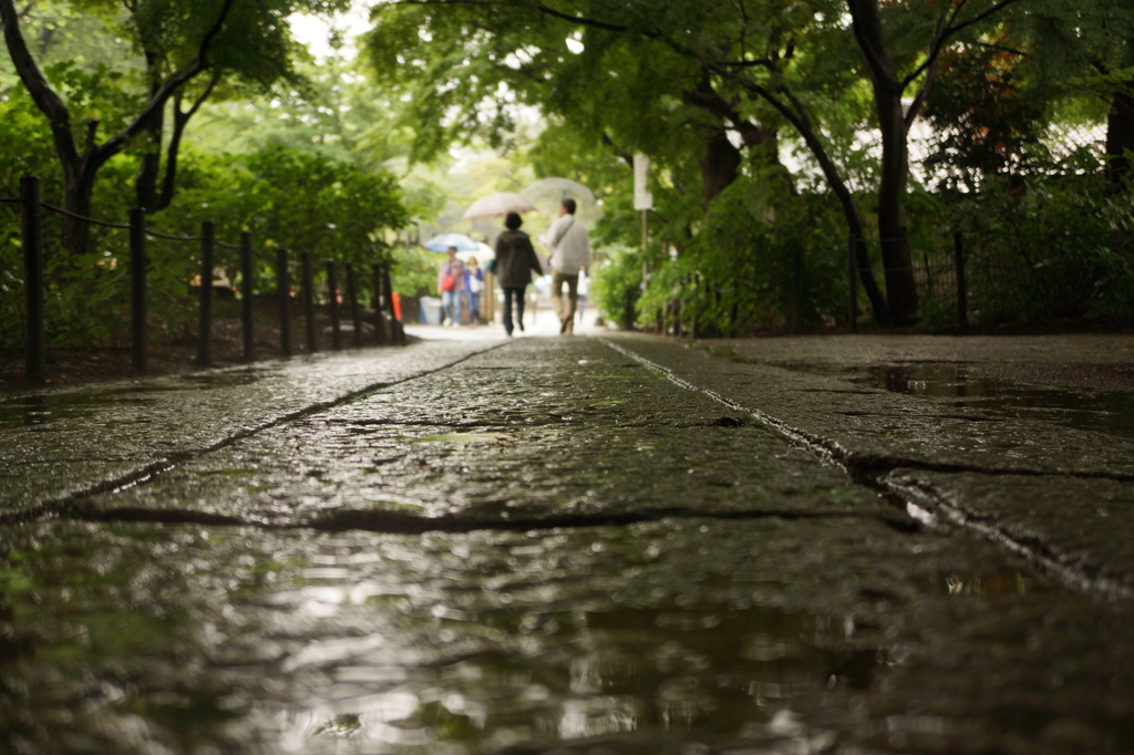 雨の二人