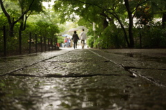 雨の二人