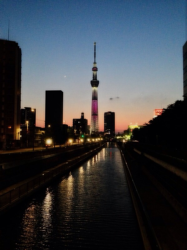 夕暮れのスカイツリー