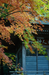 宝登神社