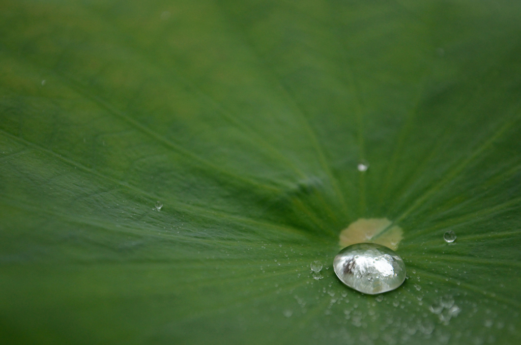 霧雨も集まれば