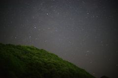 見上げてごらん