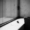 P9290026