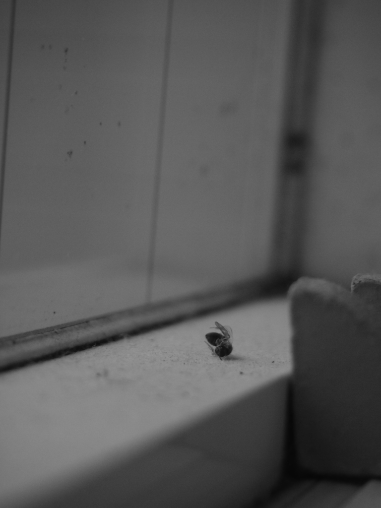 P9290024