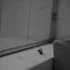 P9290024
