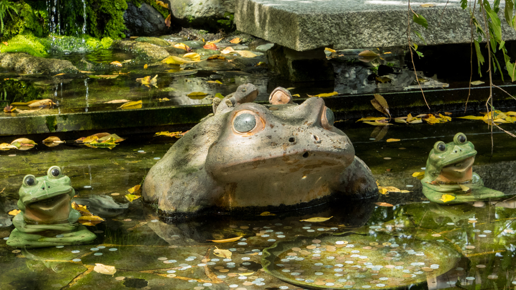 万倍椀へ願いを込めて