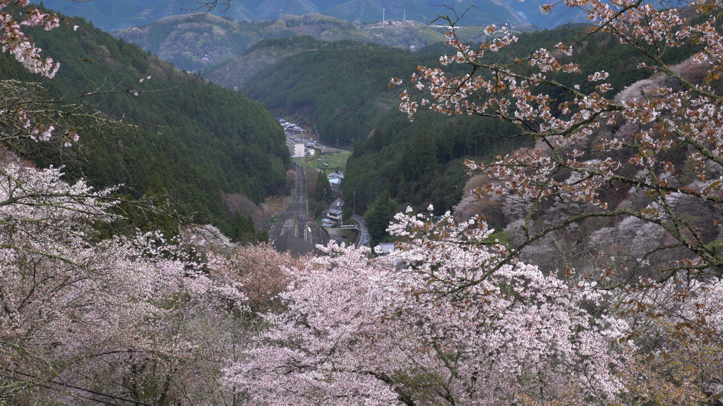 近鉄吉野線を遠くに望む