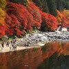 水面に浮かぶ赤