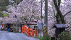 雨上がりの吉野路