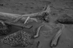 砂浜の記憶
