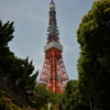緑と東京タワー