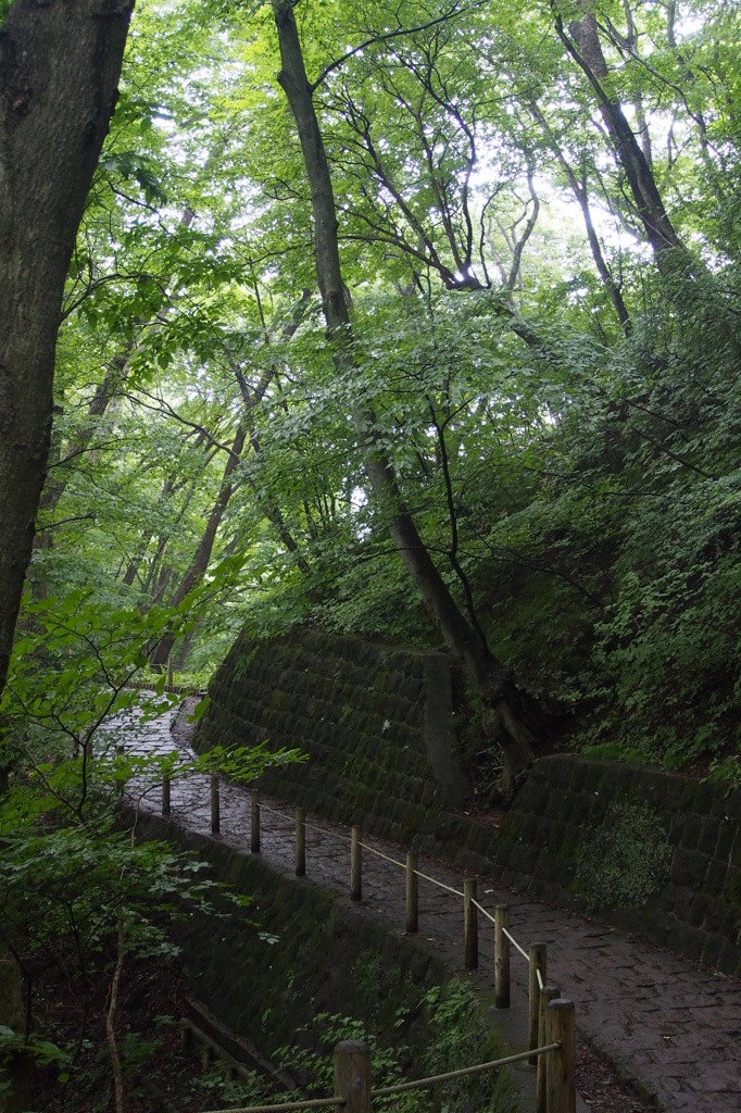 林道