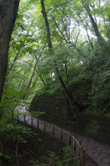 林道