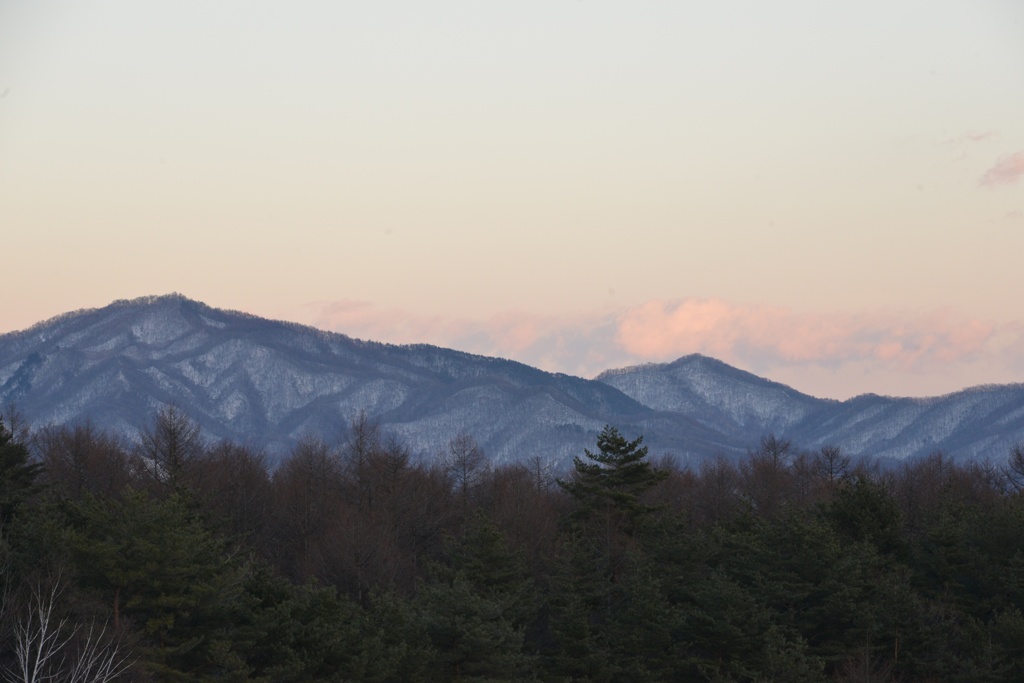 山を塞ぐ木々