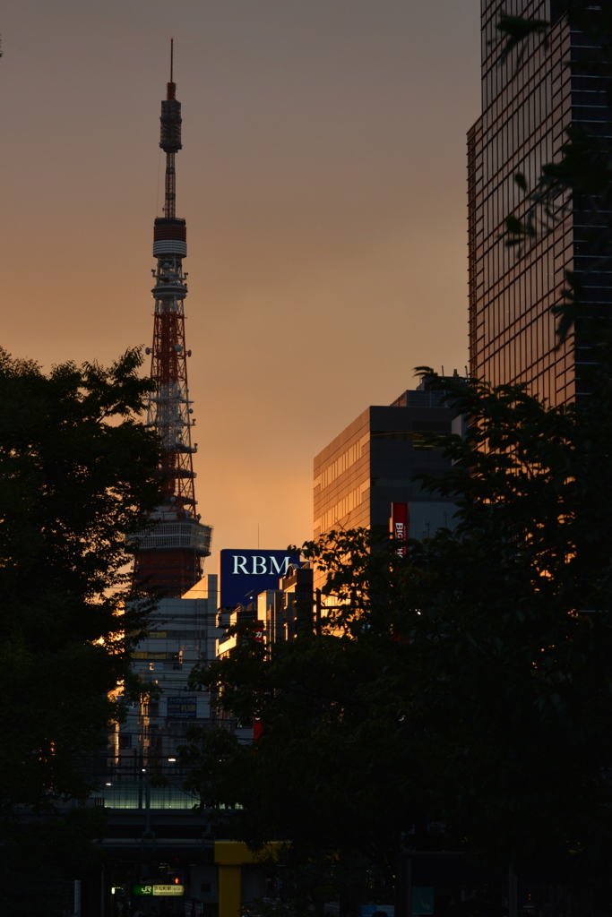 世代交代