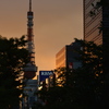 世代交代
