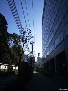 Koisigawa