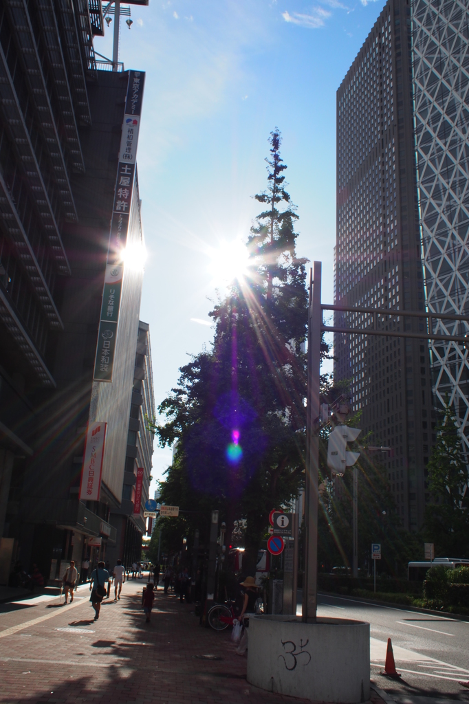 太陽が2つ？