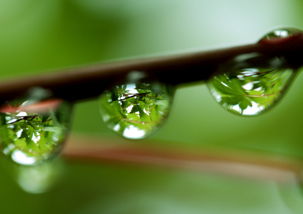 Rain drops