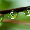 Rain drops