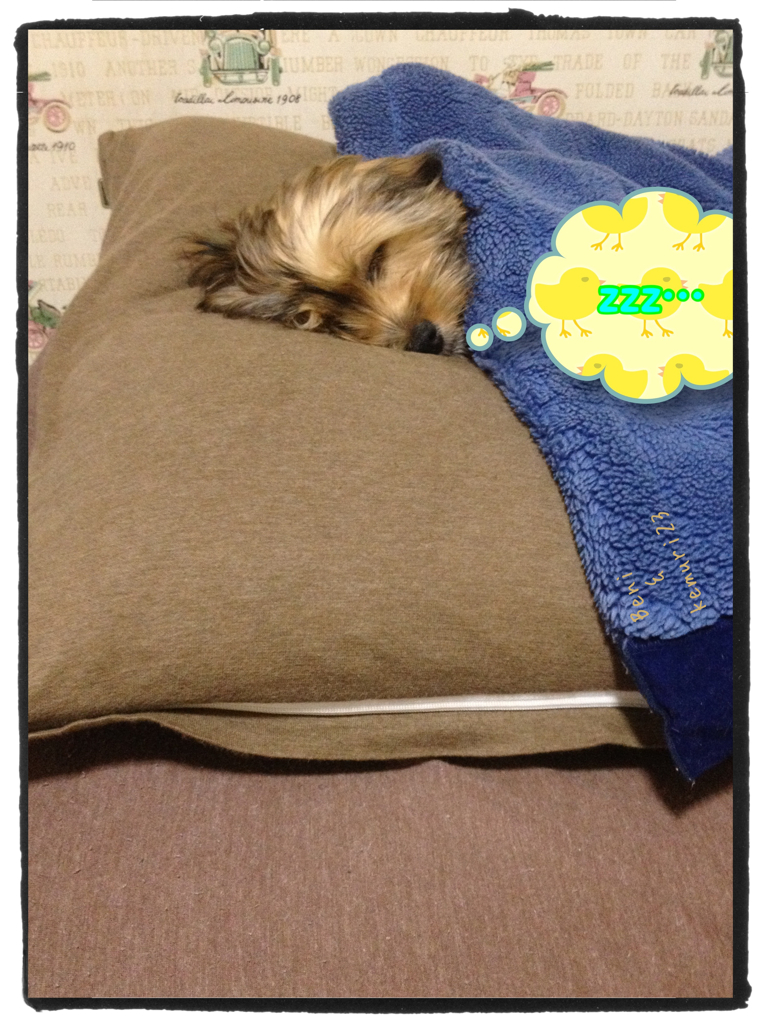 sleeping