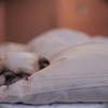 Sleeping