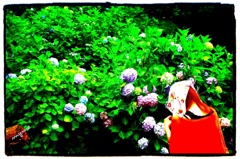 green&red