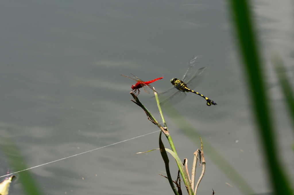 そこは私の場所なんですけど