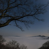 鎌倉山からの雲海-5