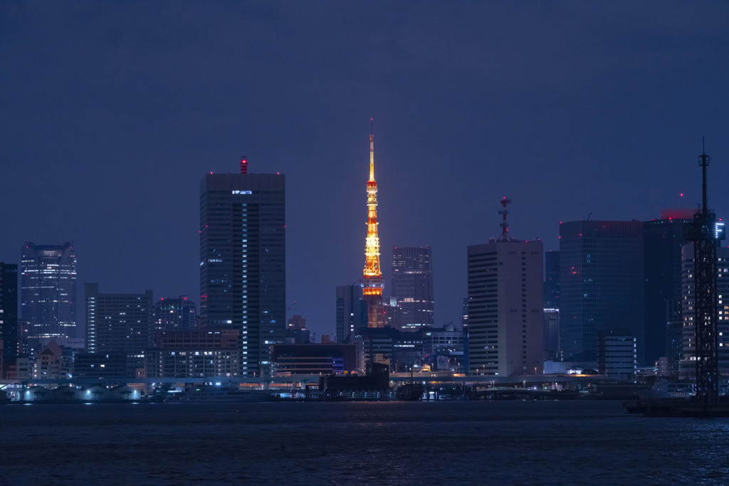 豊洲ぐるり公園からの東京タワー