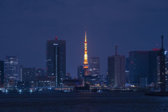 豊洲ぐるり公園からの東京タワー