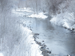 末川の霧氷