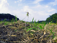 明日に向かってジャンプ
