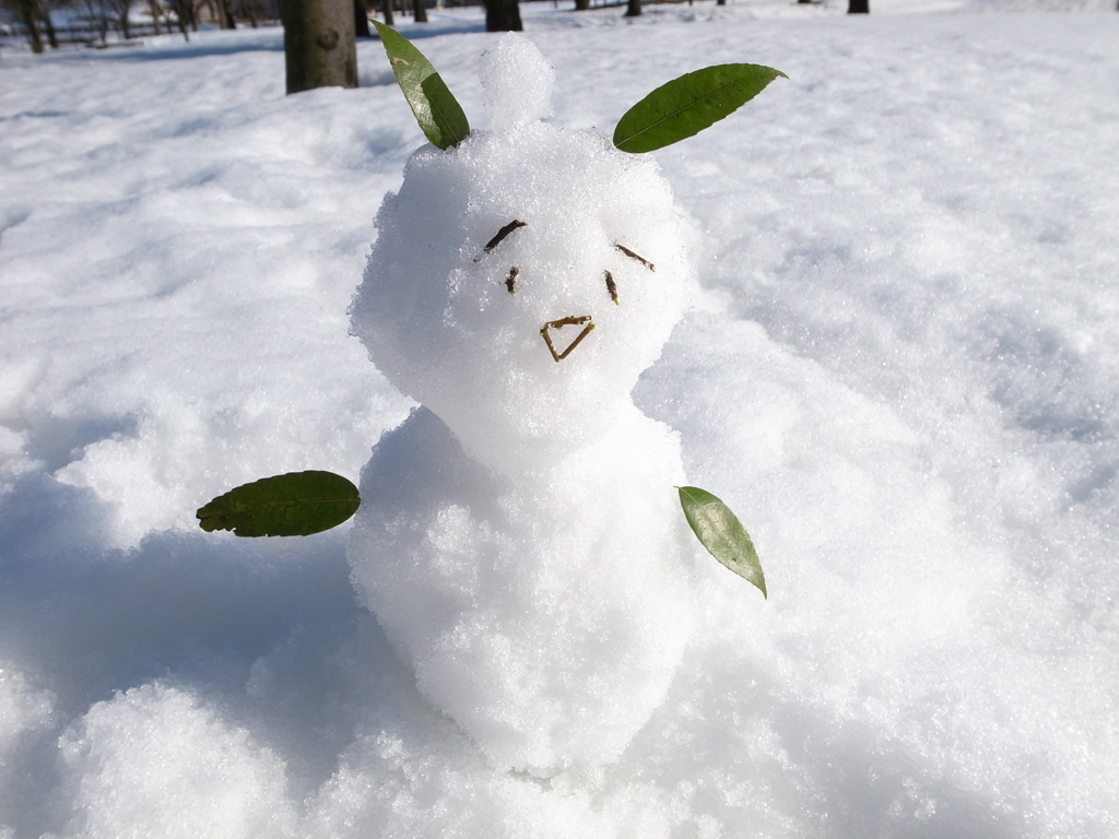雪だるま*