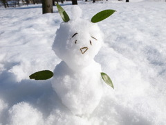 雪だるま*