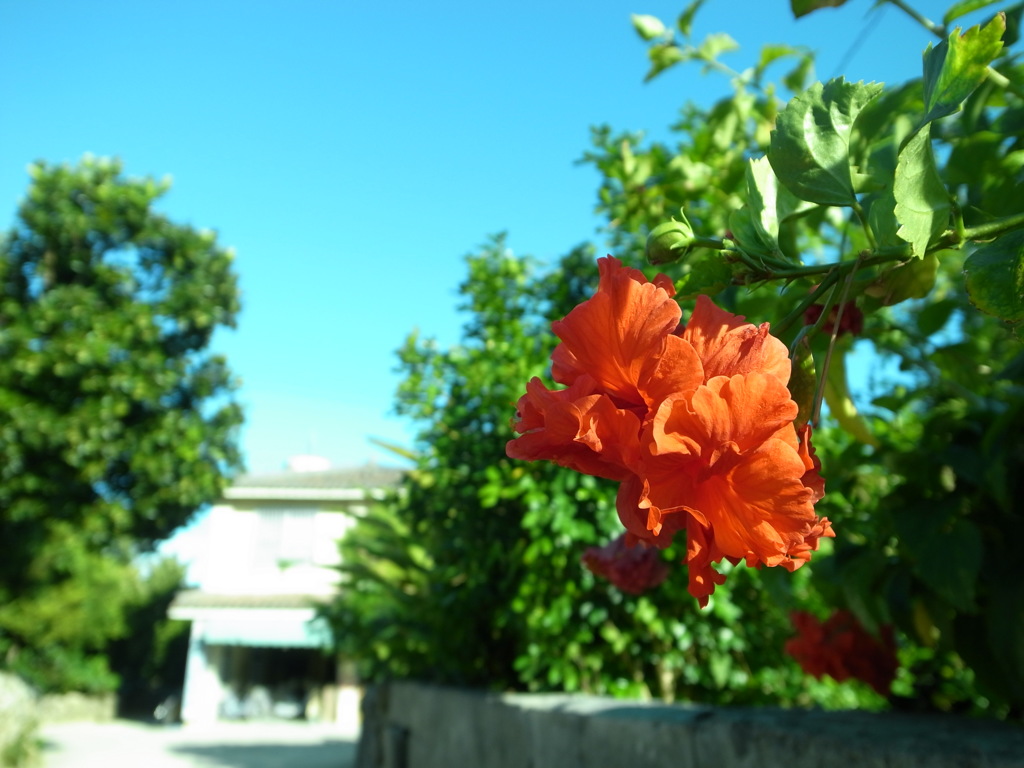 red*