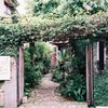 森かふぇ*