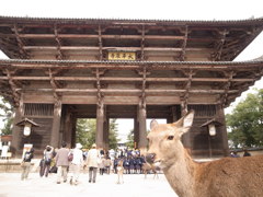 東大寺*