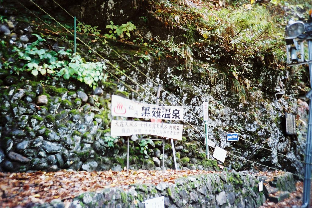 トロッコに揺られ*