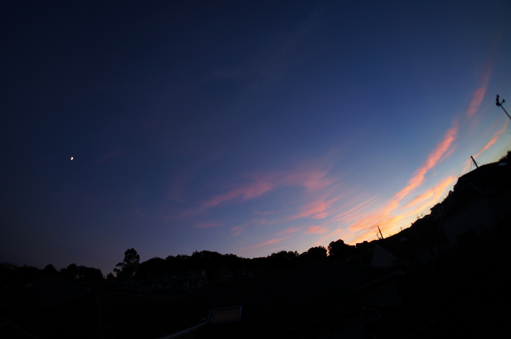 fish eye　6