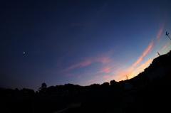 fish eye　6