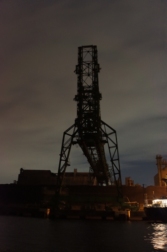 夜のきりん