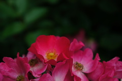 DSC01889