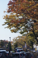 只今満車です