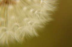 DSC01496